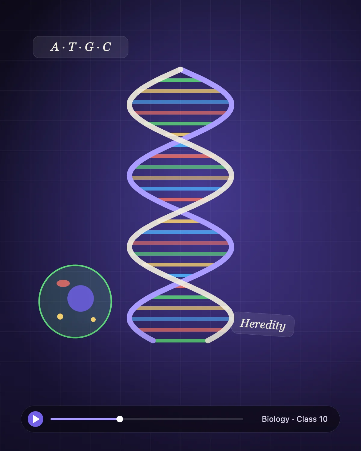 Biology lesson: a twisting DNA double helix beside a cell